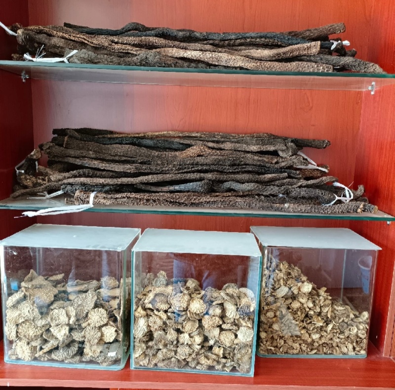 肉苁蓉中药根茎类中药材，量大从优欢迎联系全国可发质量保证