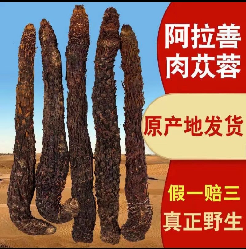 肉苁蓉中药根茎类中药材，量大从优欢迎联系全国可发质量保证