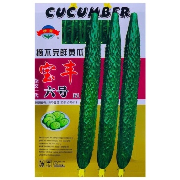 宝丰六号黄瓜种子瓜柄短叶片小果肉绿口感甜商品佳抗病丰产春