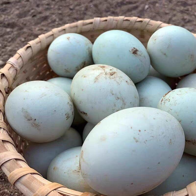 【精选】精品土鸭蛋一手货源品质保证价格实惠