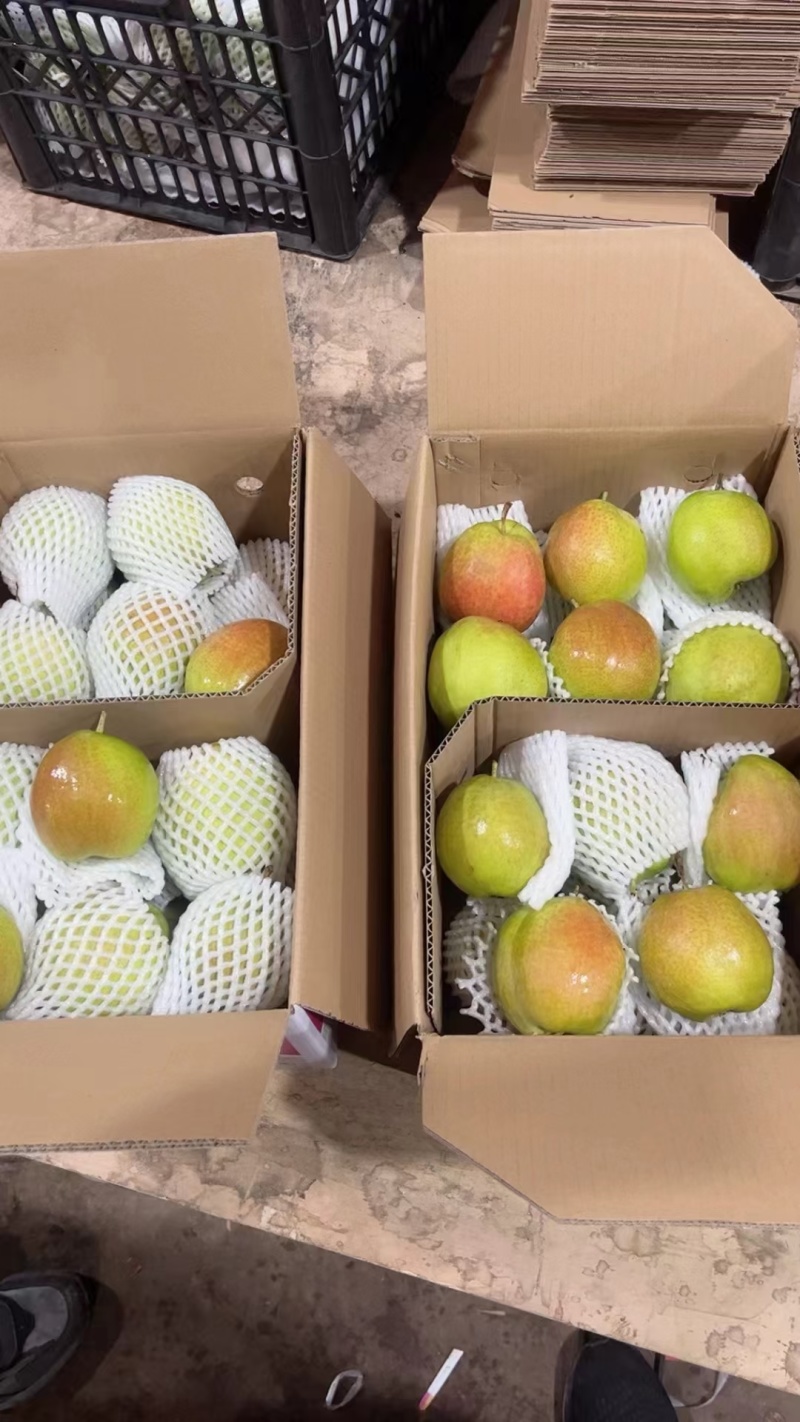 香梨香梨，产地供应链，全国接单