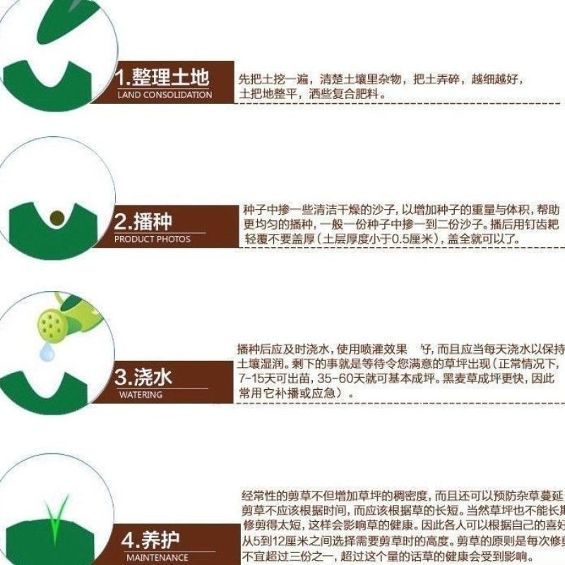 草坪种子狗牙根种子草种护坡固土四季常青马尼拉草籽庭院四季