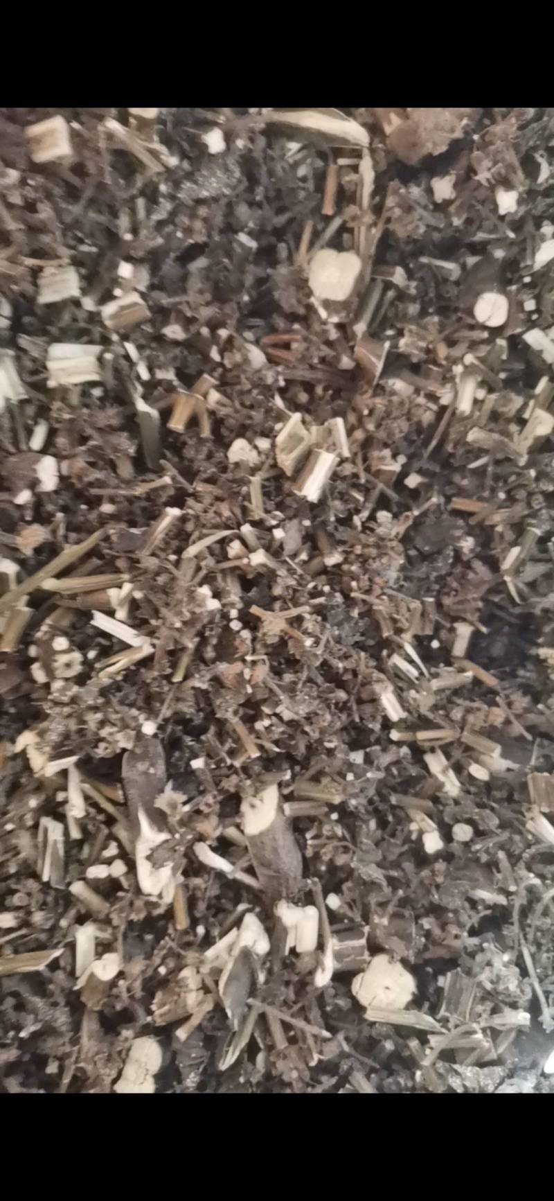 紫苏，非人工种植，田边地头自然生长，只有少量货源