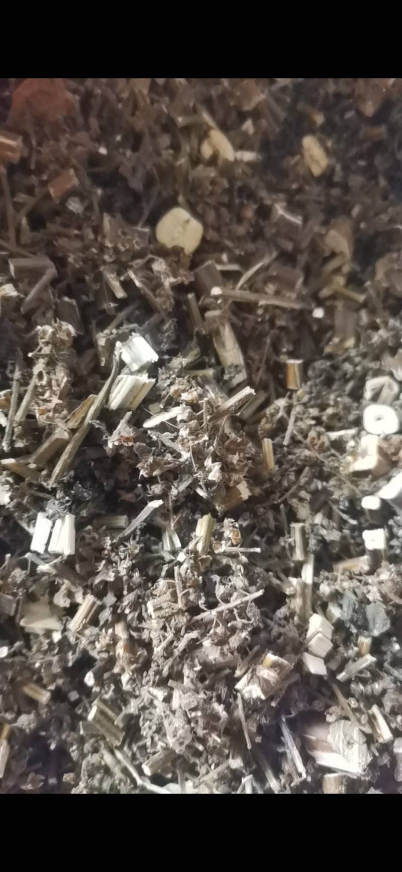 紫苏，非人工种植，田边地头自然生长，只有少量货源
