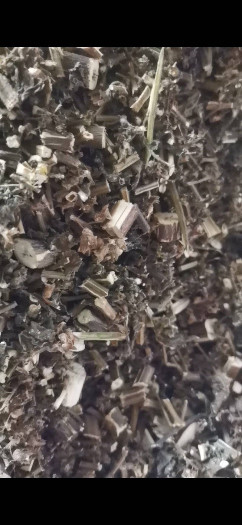 紫苏，非人工种植，田边地头自然生长，只有少量货源