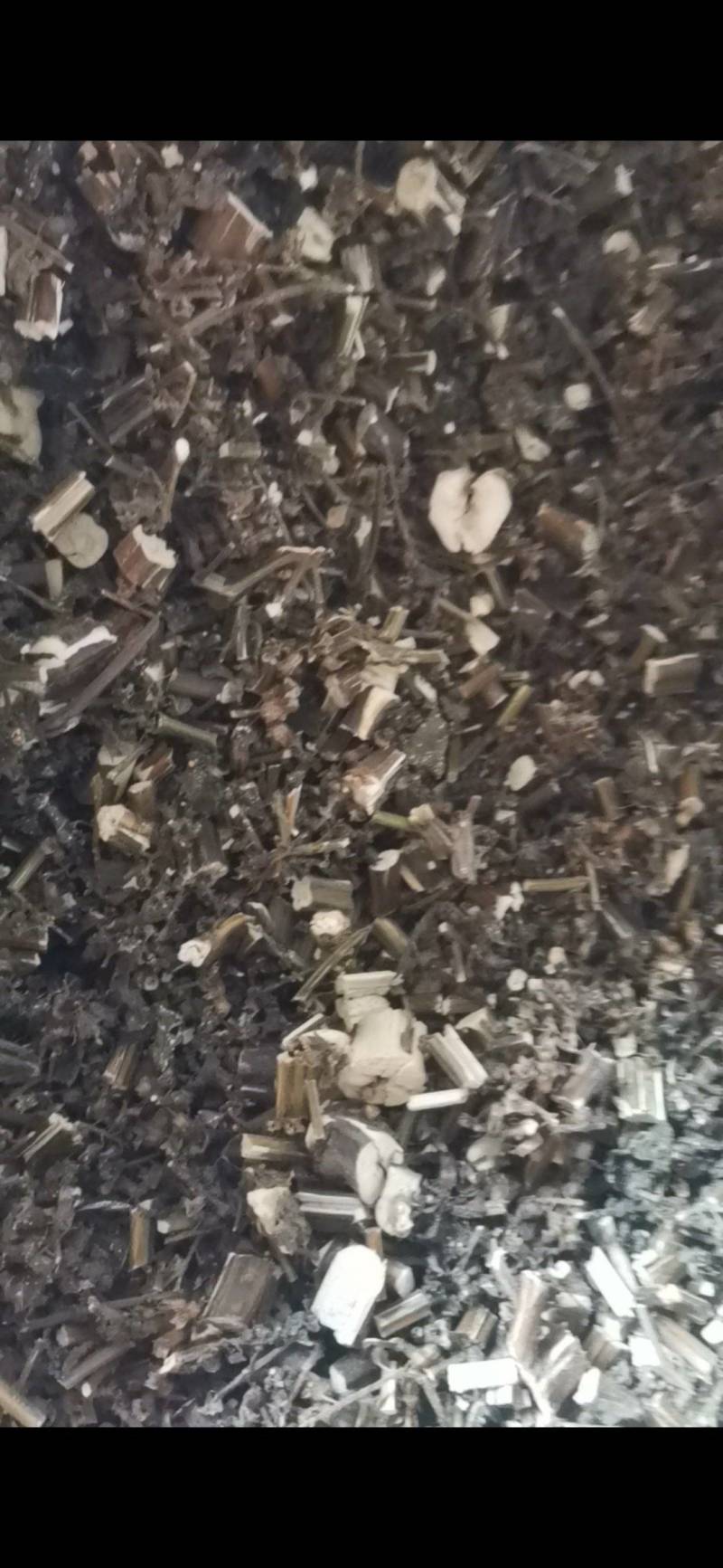 紫苏，非人工种植，田边地头自然生长，只有少量货源