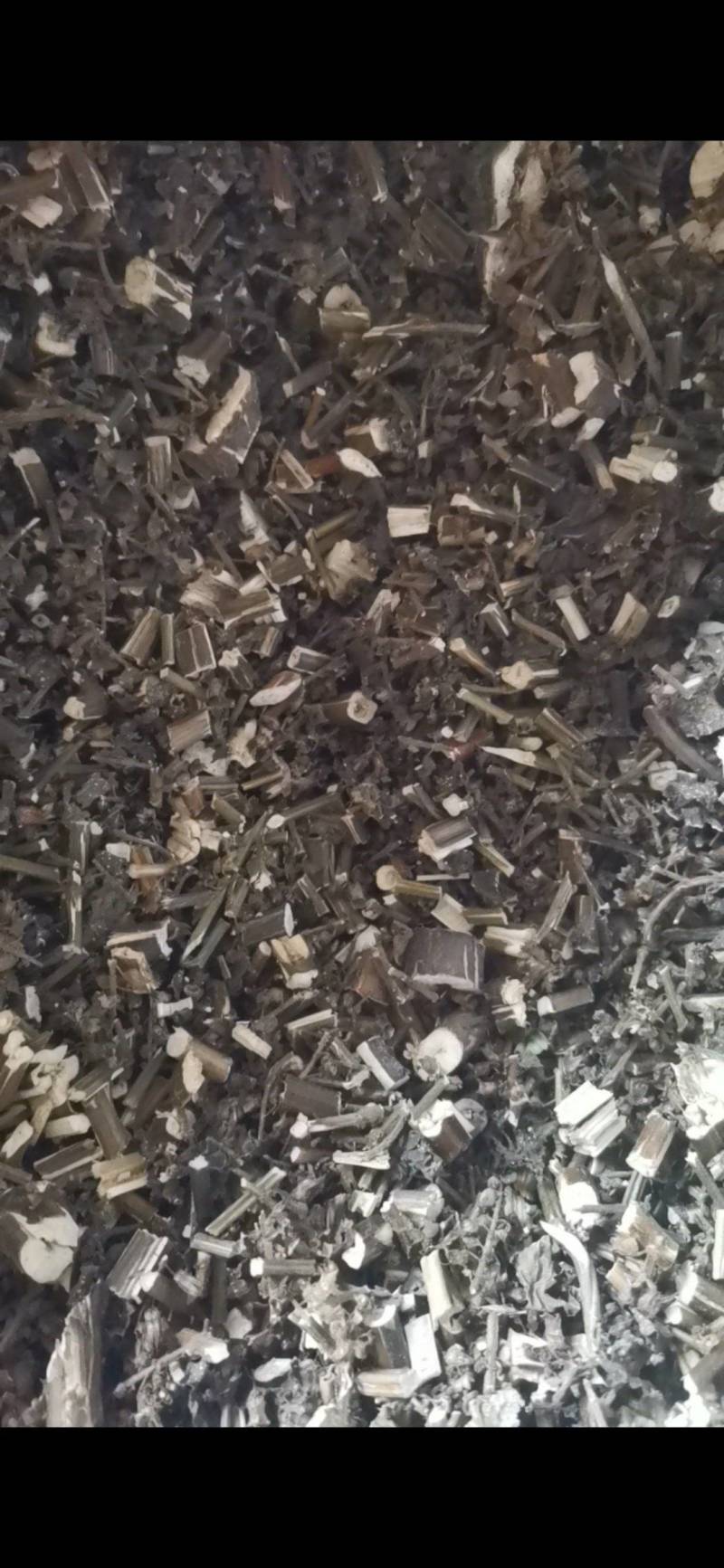 紫苏，非人工种植，田边地头自然生长，只有少量货源