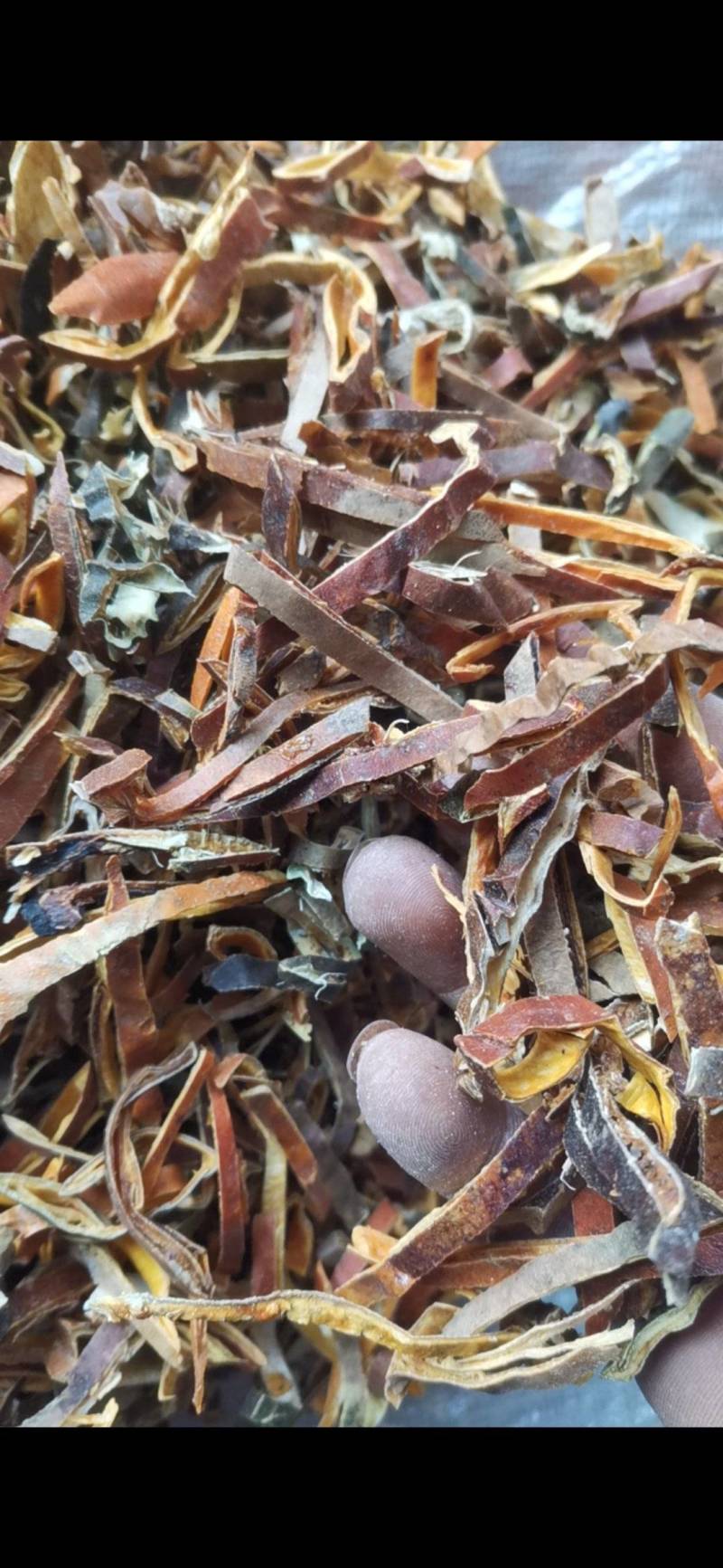 瓜蒌皮丝，正宗野生瓜蒌皮切丝，无硫烘干货