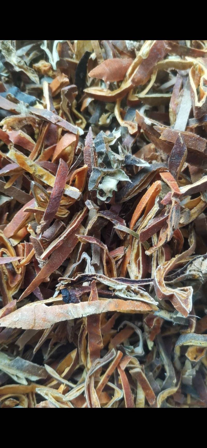 瓜蒌皮丝，正宗野生瓜蒌皮切丝，无硫烘干货