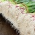 四季蒜苗红根蒜苗，看货论价，保值报量，支持视频看货