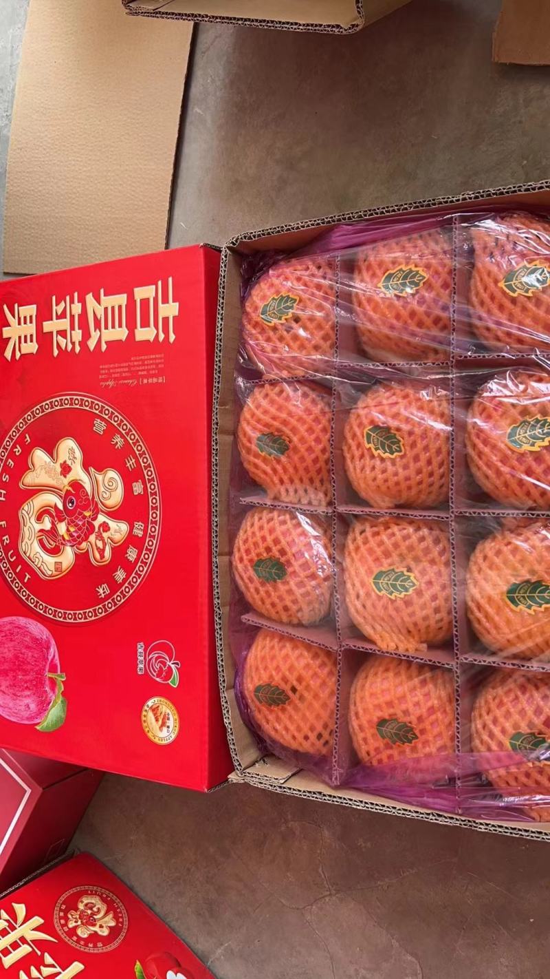 【包邮】山西吉县红富士苹果脆甜可口多汁新鲜直达净果八斤半