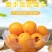新鲜枇杷罐头3000g大罐装整箱批发糖水水果罐头食品商用