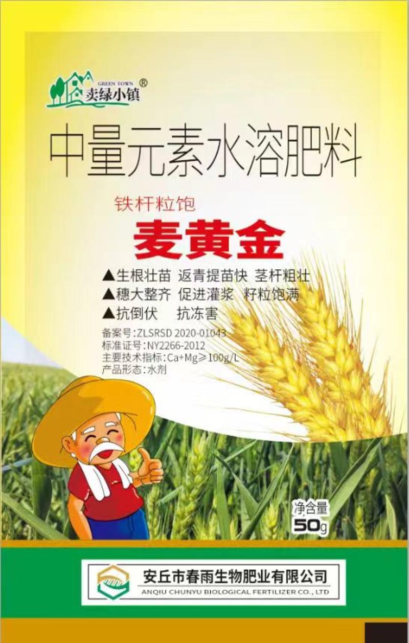 小麦矮壮孢控旺增产分蘖多抗倒伏籽粒孢满增产增收提高品质。