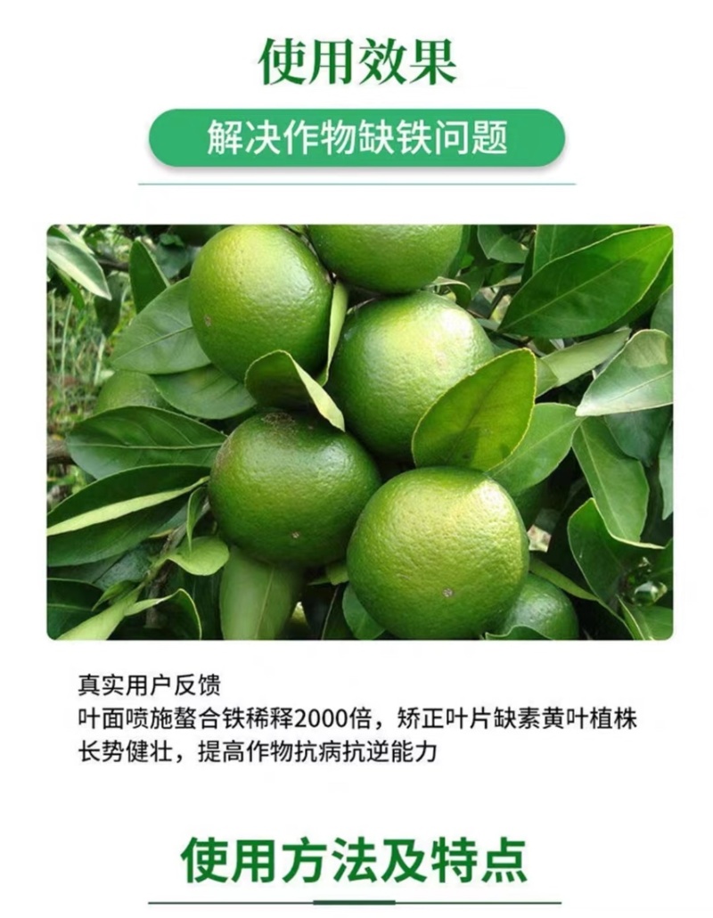 螯合铁液体叶面肥铁肥水溶肥果树蔬菜花卉预防黄叶植物黄化
