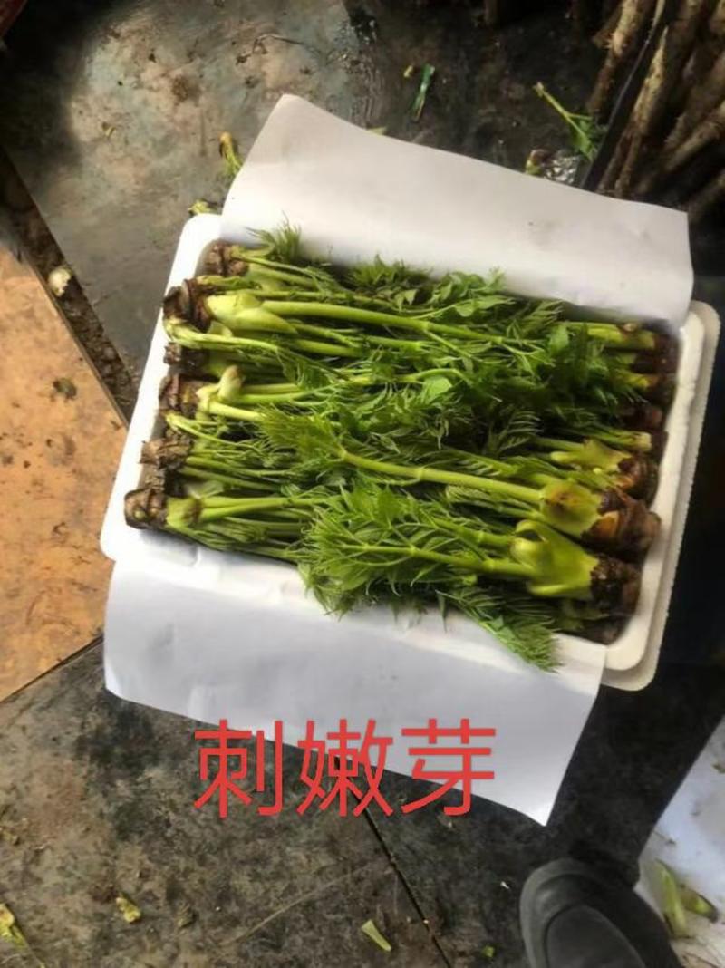 刺嫩芽山野菜礼盒