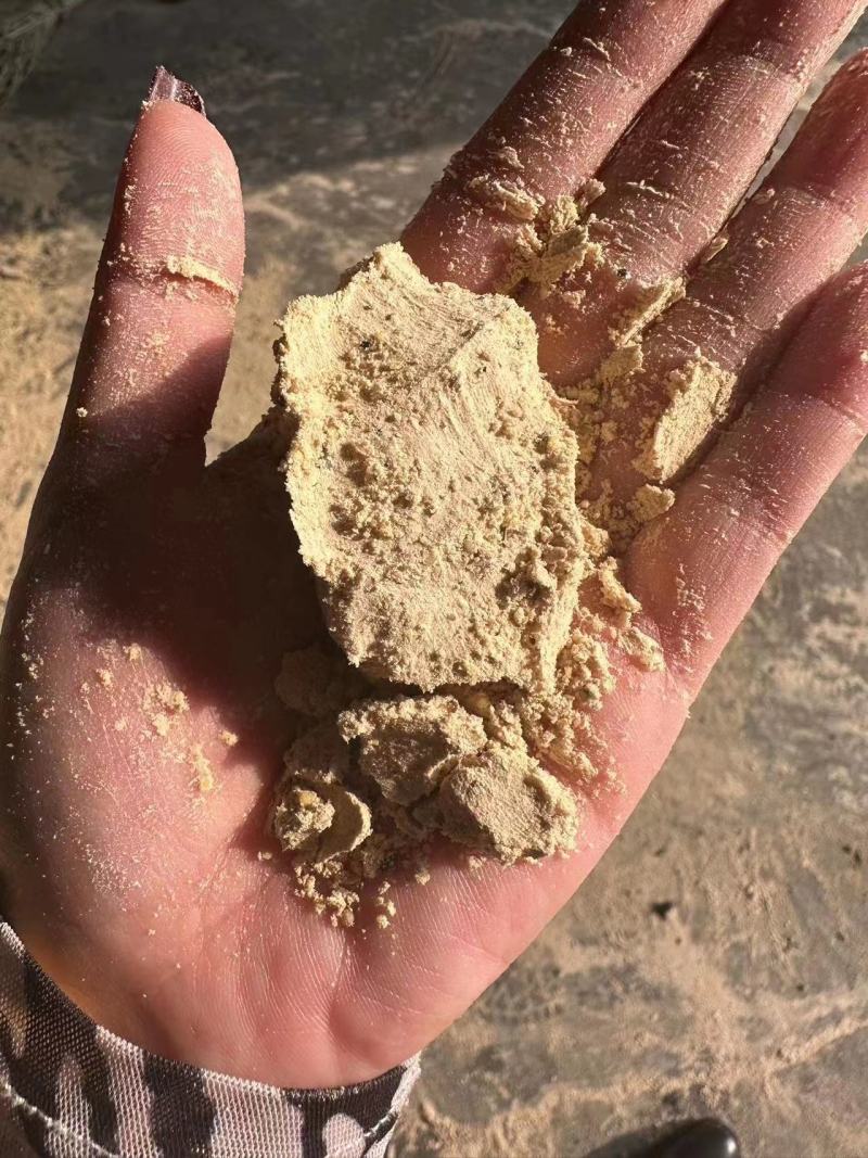 小米油糠，各种指标，指标稳定，支持到场看货