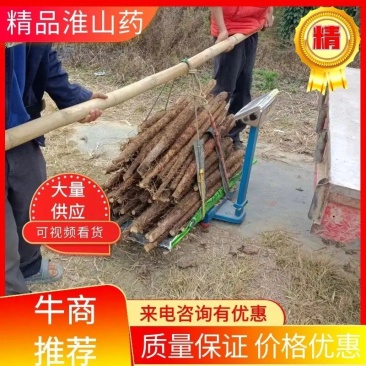 【包邮】淮山药一件代发，老板热情，产品优质，欢迎咨询下单