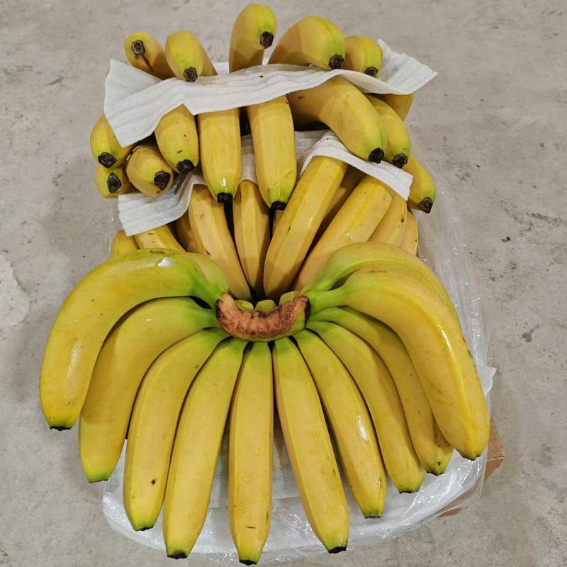 香蕉，18元18斤包售后视频看货！高中抵挡有货