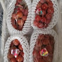 妮娜皇后葡萄葡萄中的爱马仕拥有草莓和荔枝的果香