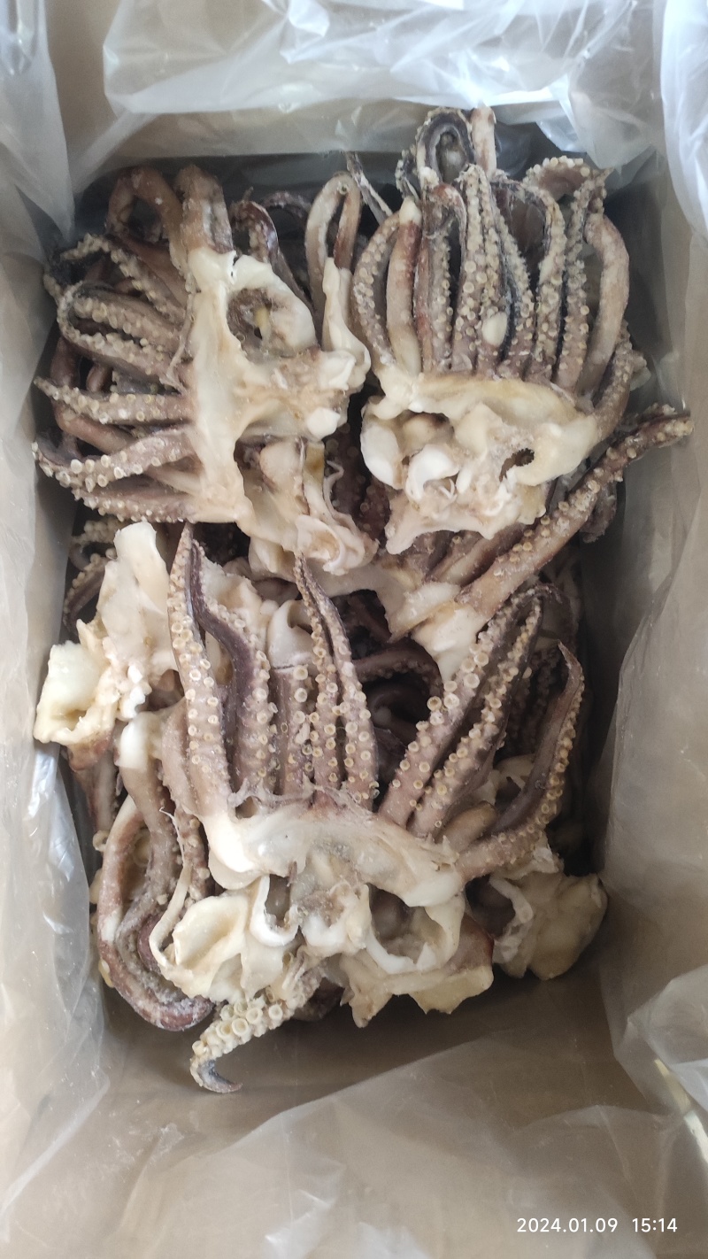单冻开片鱿鱼头，单冻鱿鱼头，单冻鱿鱼须，脆口头，脆口须