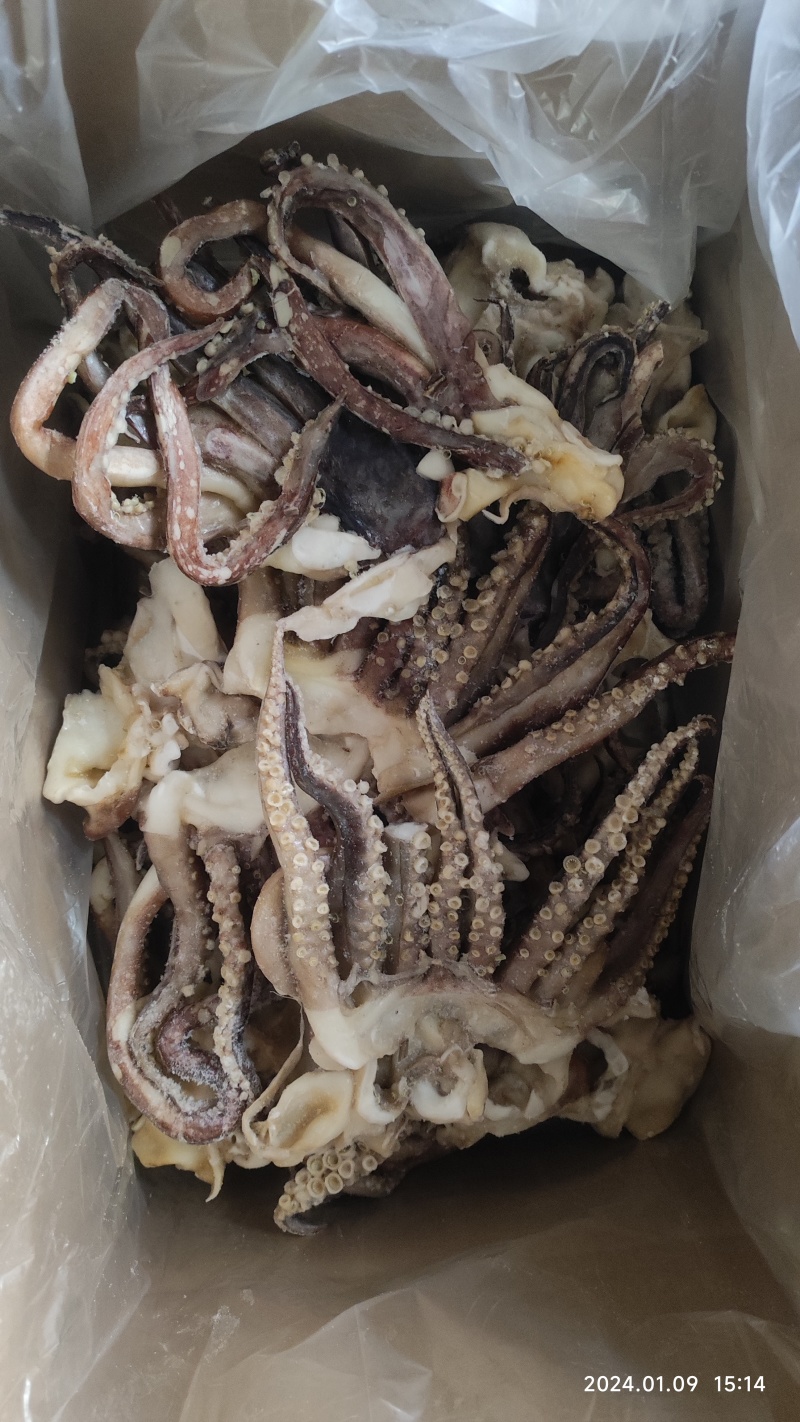 单冻开片鱿鱼头，单冻鱿鱼头，单冻鱿鱼须，脆口头，脆口须