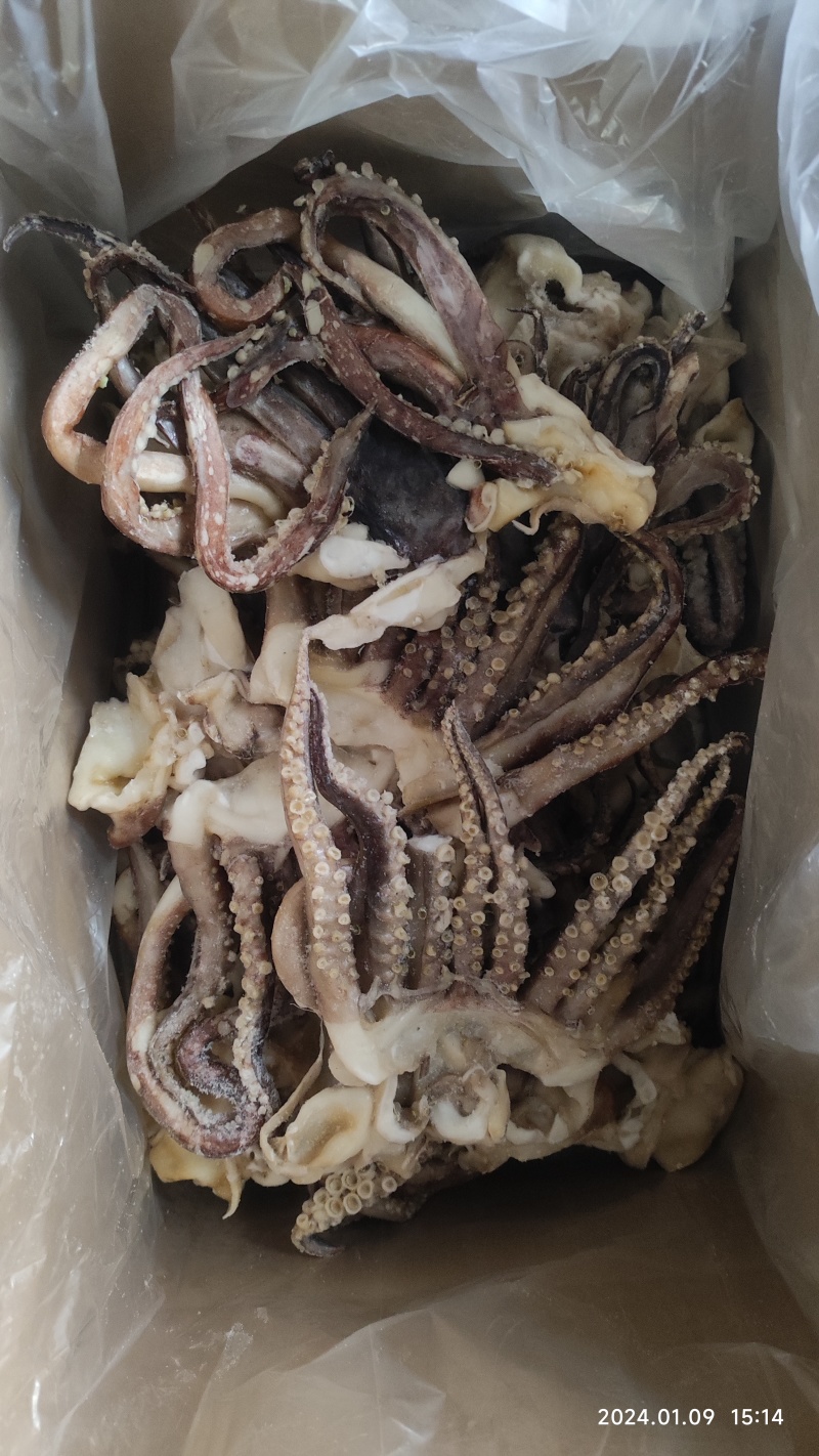 单冻开片鱿鱼头，单冻鱿鱼头，单冻鱿鱼须，脆口头，脆口须