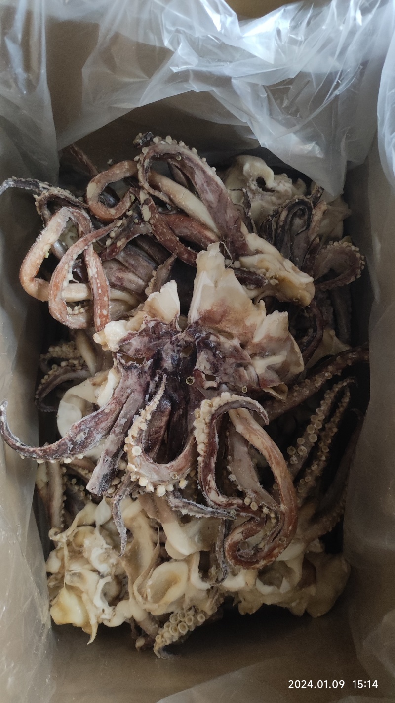 单冻开片鱿鱼头，单冻鱿鱼头，单冻鱿鱼须，脆口头，脆口须