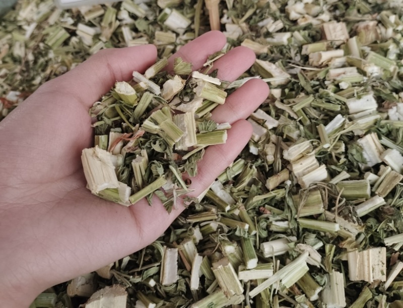 批发益母草