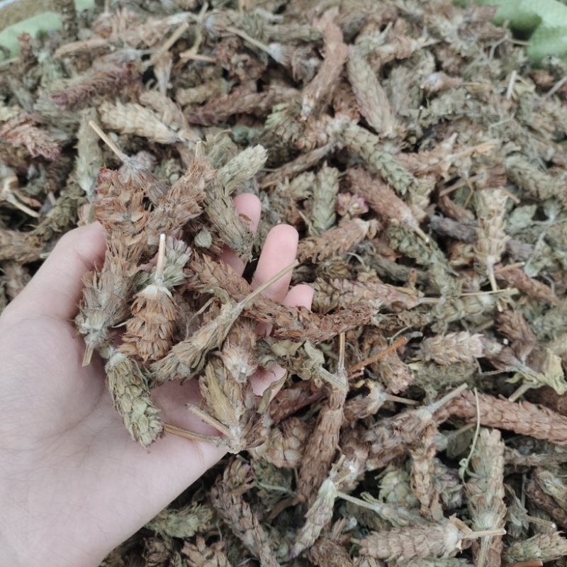 批发夏枯球