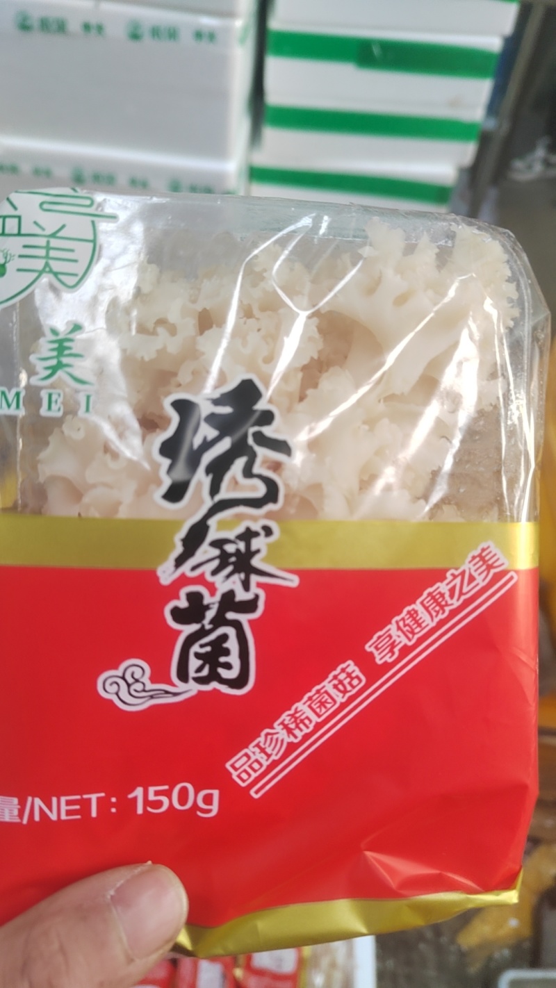 绣球菌人工种植，品质保证，一手货源，欢迎大家来电咨询