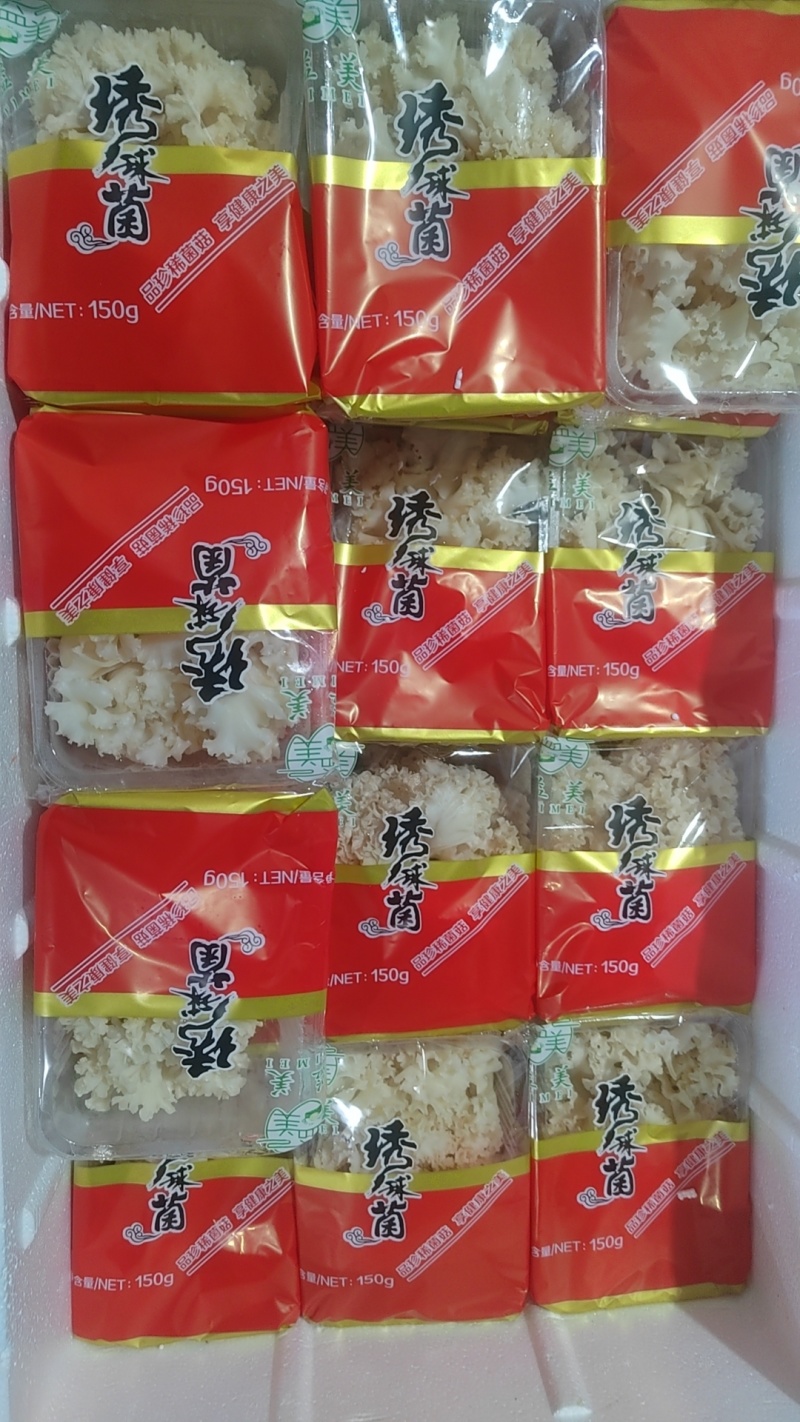 绣球菌人工种植，品质保证，一手货源，欢迎大家来电咨询