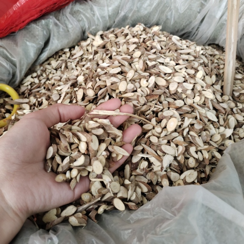 批发桑枝