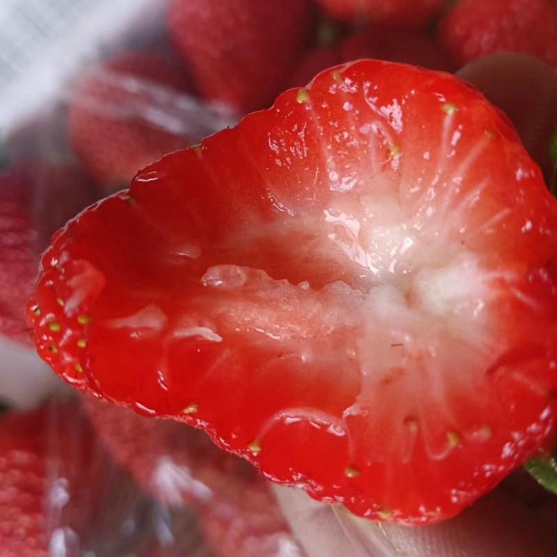农家种植草莓现摘现发新鲜2.5斤包箱