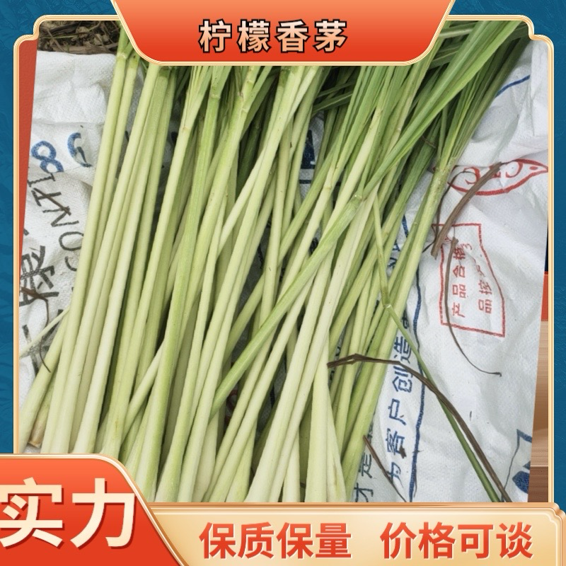 【推荐】精品柠檬香茅广东产地直供价格可谈质量保证