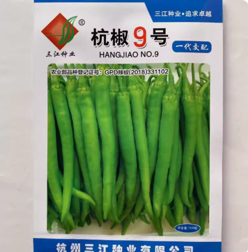 杭椒一号辣椒种子，杭椒1号，早熟尖椒，辣味中等，基地专用