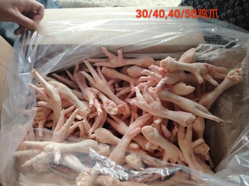 30/40，40-50单冻鸡爪板冻规格齐全