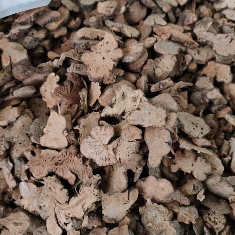 批发金荞麦