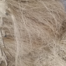 河南红薯粉条