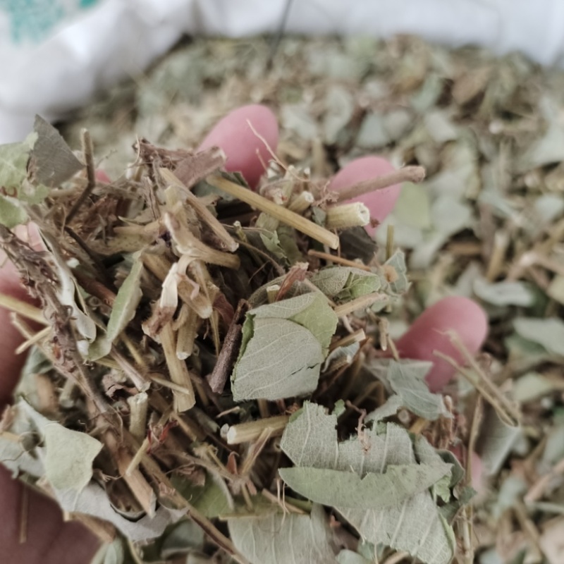 批发金钱草
