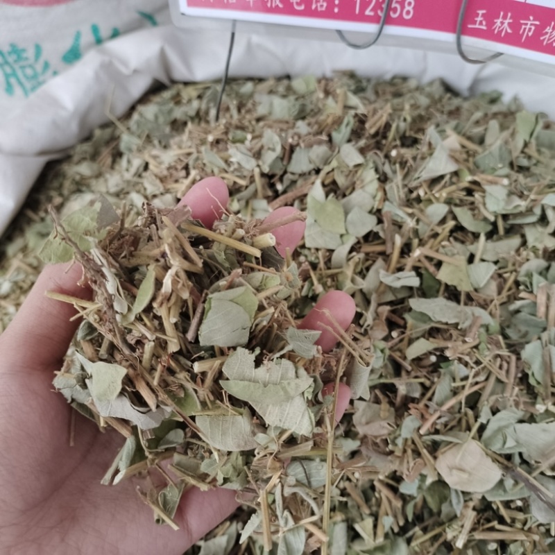 批发金钱草