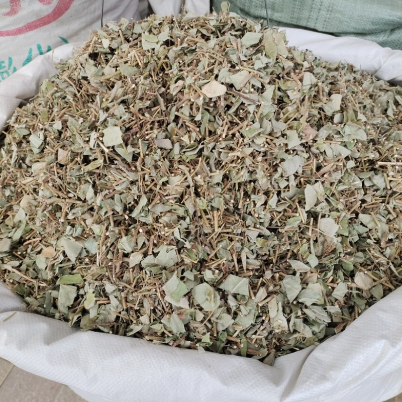 批发金钱草