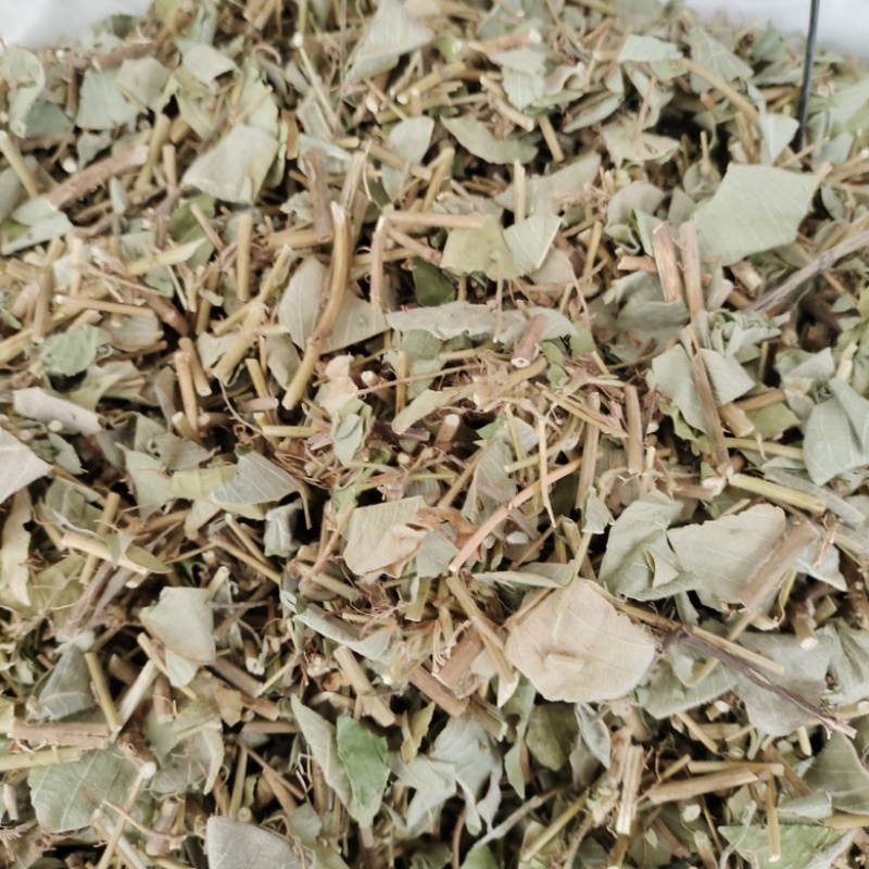批发金钱草