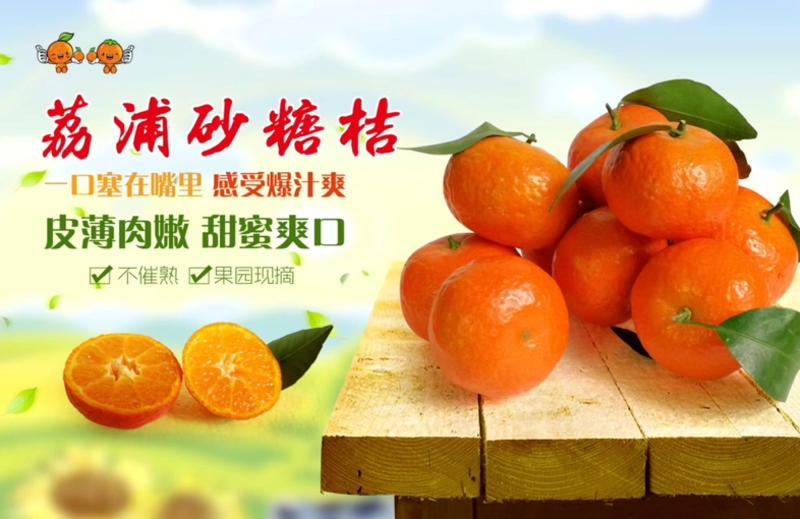 【好货】广西砂糖橘一件代发十斤装产地直发可对接商超市场