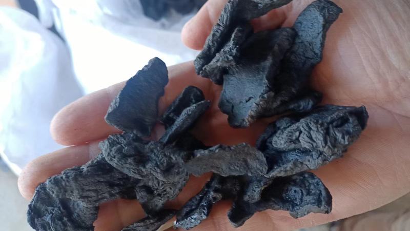 【推荐】生地黄熟地黄大量供应保质保量对接全国欢迎咨询