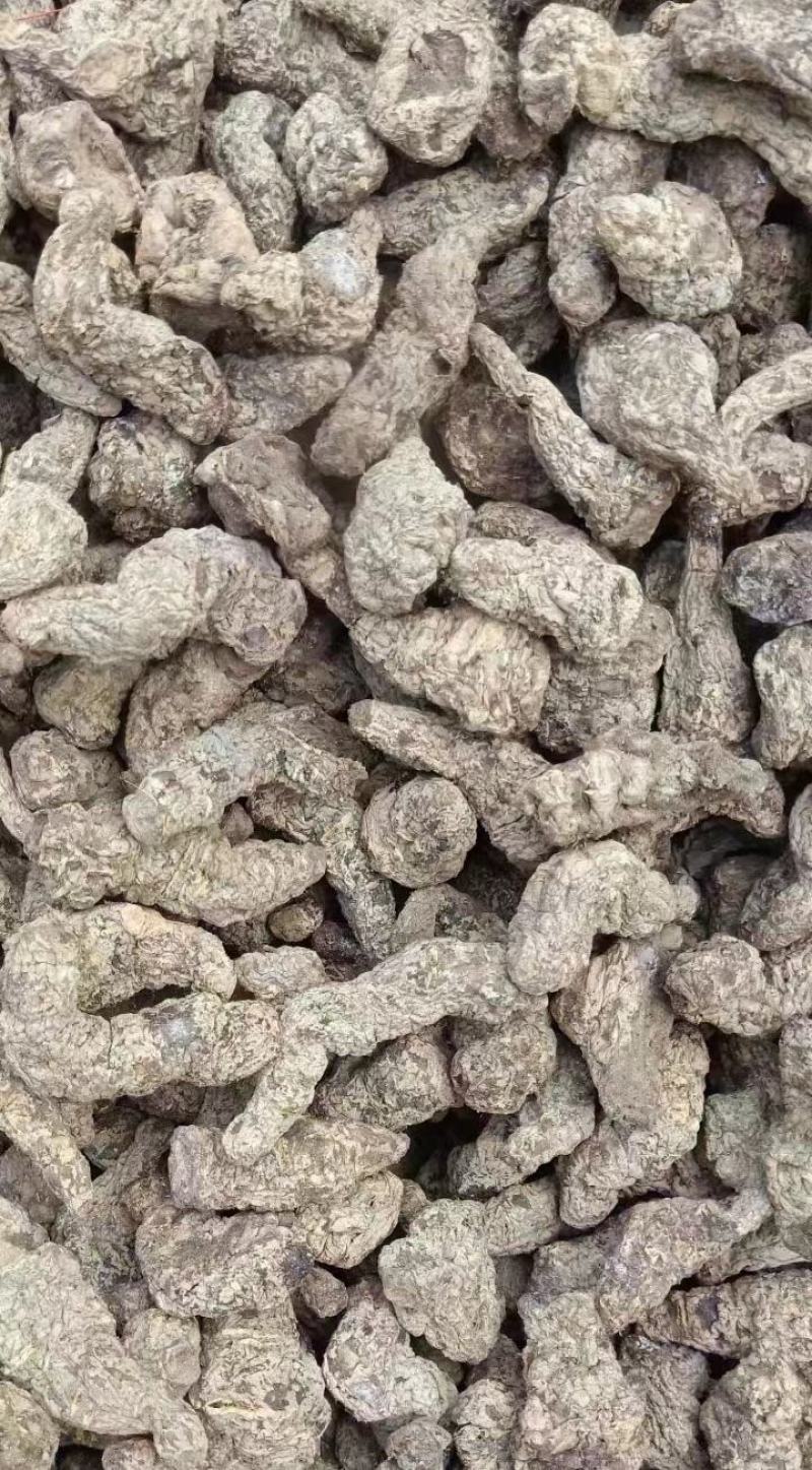 【推荐】生地黄熟地黄大量供应保质保量对接全国欢迎咨询