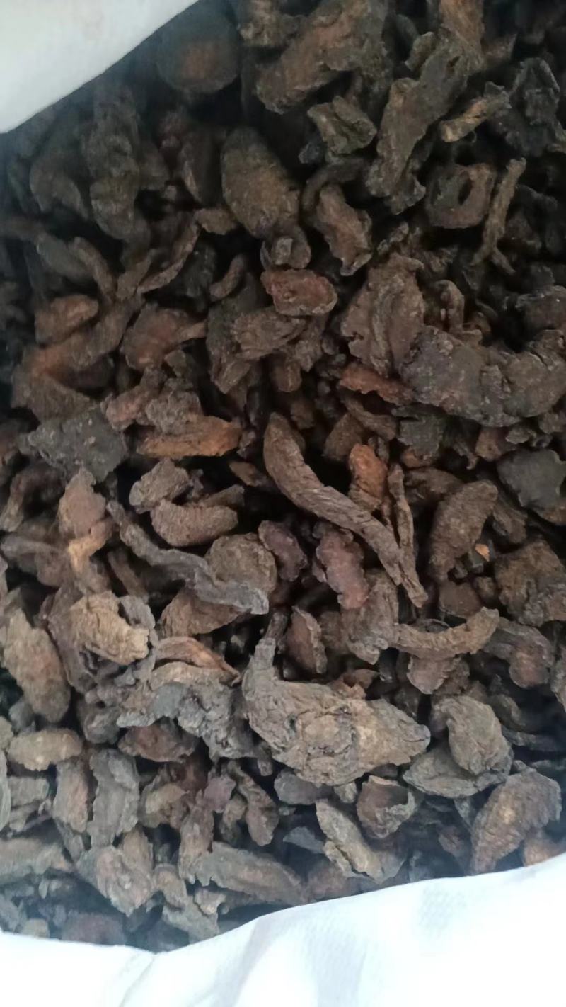 【推荐】生地黄熟地黄大量供应保质保量对接全国欢迎咨询