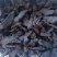【推荐】生地黄熟地黄大量供应保质保量对接全国欢迎咨询
