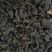 【推荐】生地黄熟地黄大量供应保质保量对接全国欢迎咨询