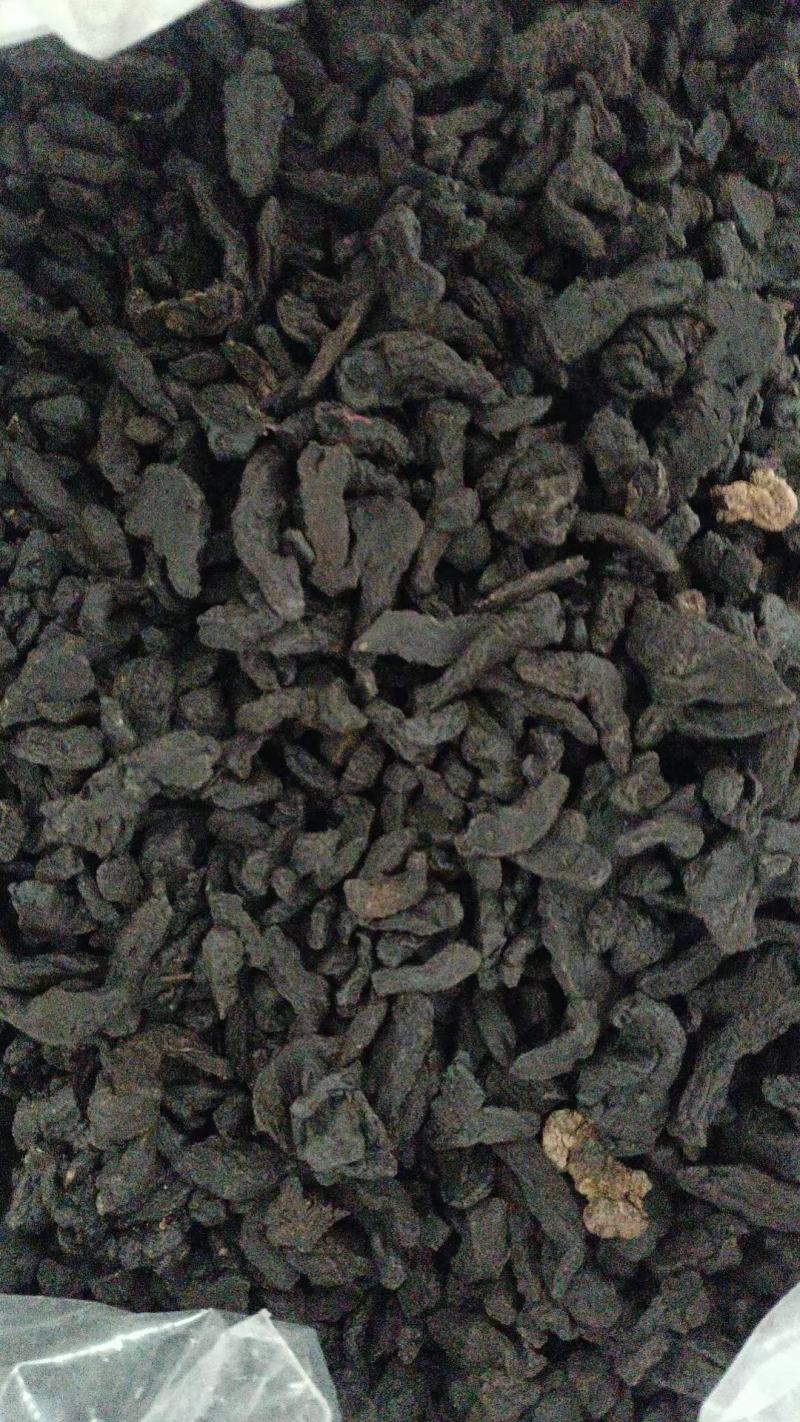 【推荐】生地黄熟地黄大量供应保质保量对接全国欢迎咨询