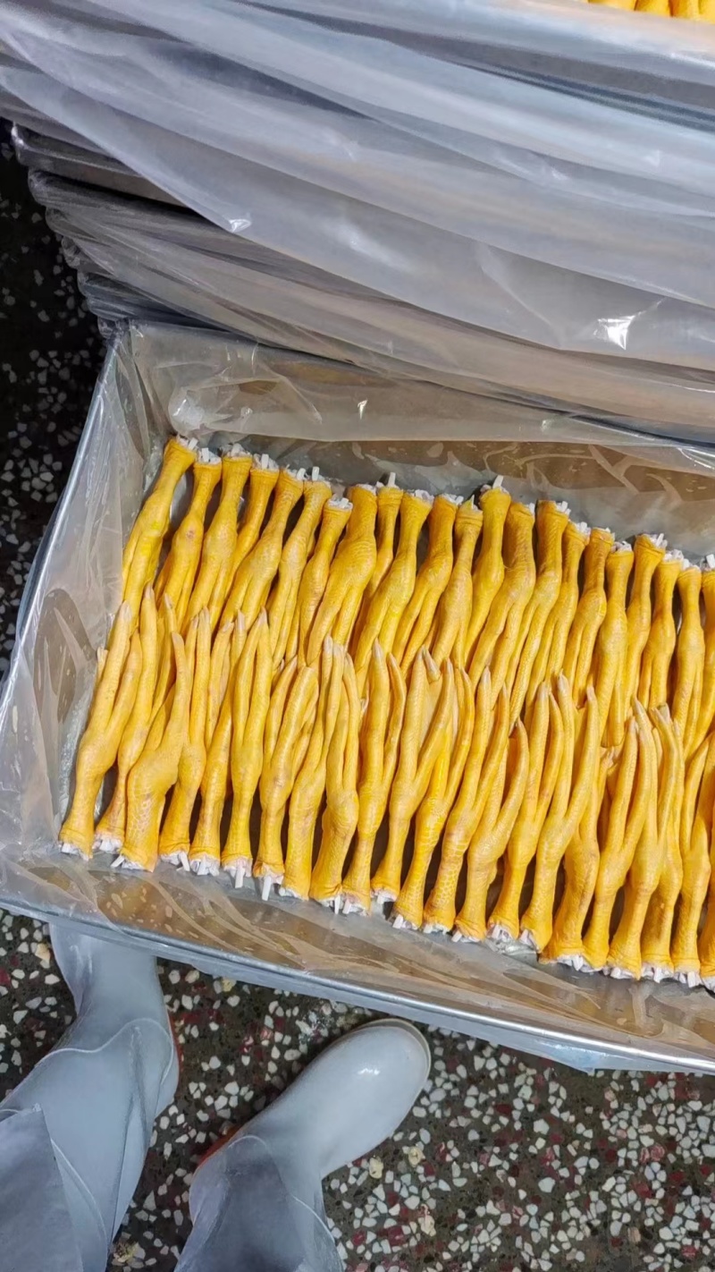 黄皮鸭掌一级，二级产品规格齐全